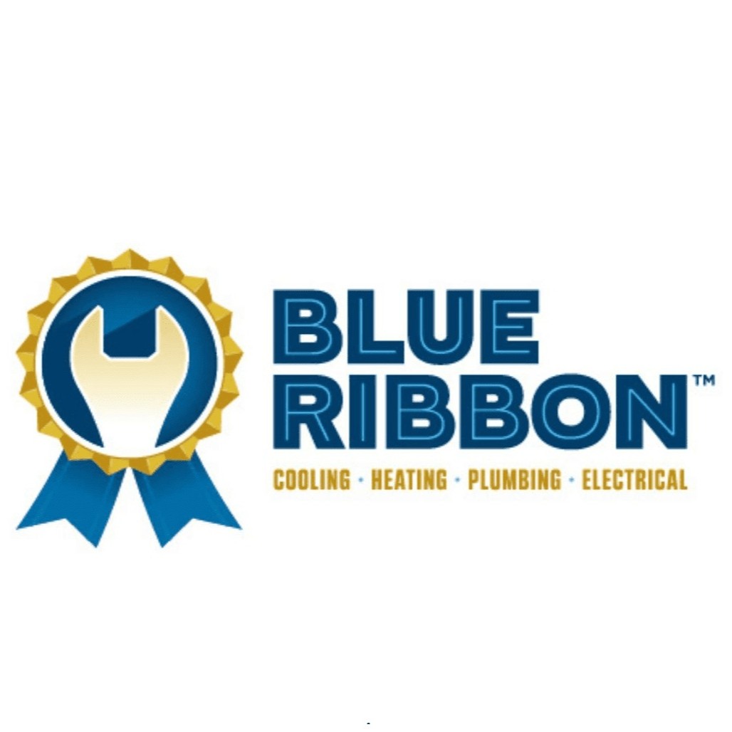 Blue Ribbon Services